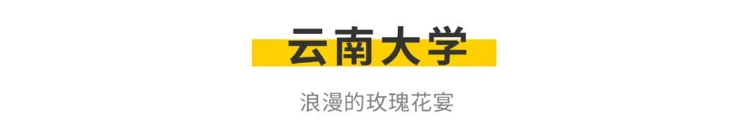 江西黑暗料理网红,_全国高校美食地图 高校食堂哪家强_高考志愿填报 大学食堂推荐