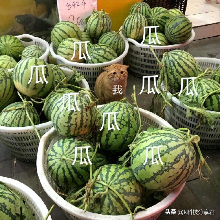 Telegram吃瓜_51吃瓜app苹果,_吃瓜软件排行榜